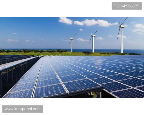 开云备用平台助力企业实现业务连续性管理的最佳实践经验分享