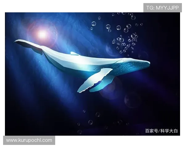 蓝鲸中文站：积极响应国家文化战略推动中华文化走向世界的先锋力量