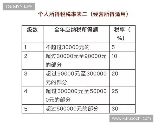 如何理解世界杯税率调整对个人所得税缴纳的具体影响与应对措施